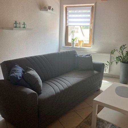 Appartement Dz Im Haus Maja à Holzkirchen  Extérieur photo