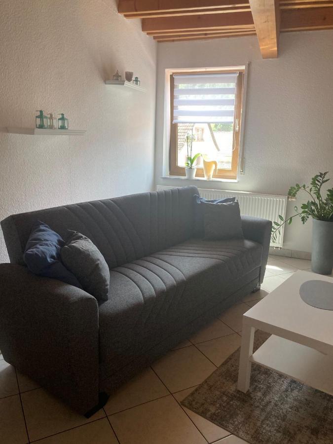 Appartement Dz Im Haus Maja à Holzkirchen  Extérieur photo